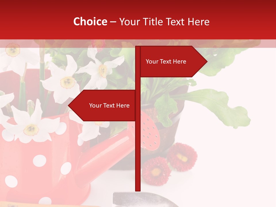 Sun Rope Wash PowerPoint Template