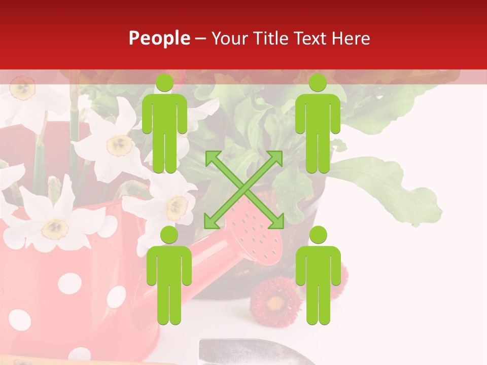 Sun Rope Wash PowerPoint Template