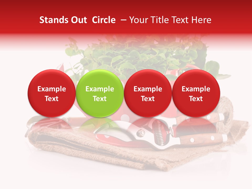 Skein Leaf Spring PowerPoint Template