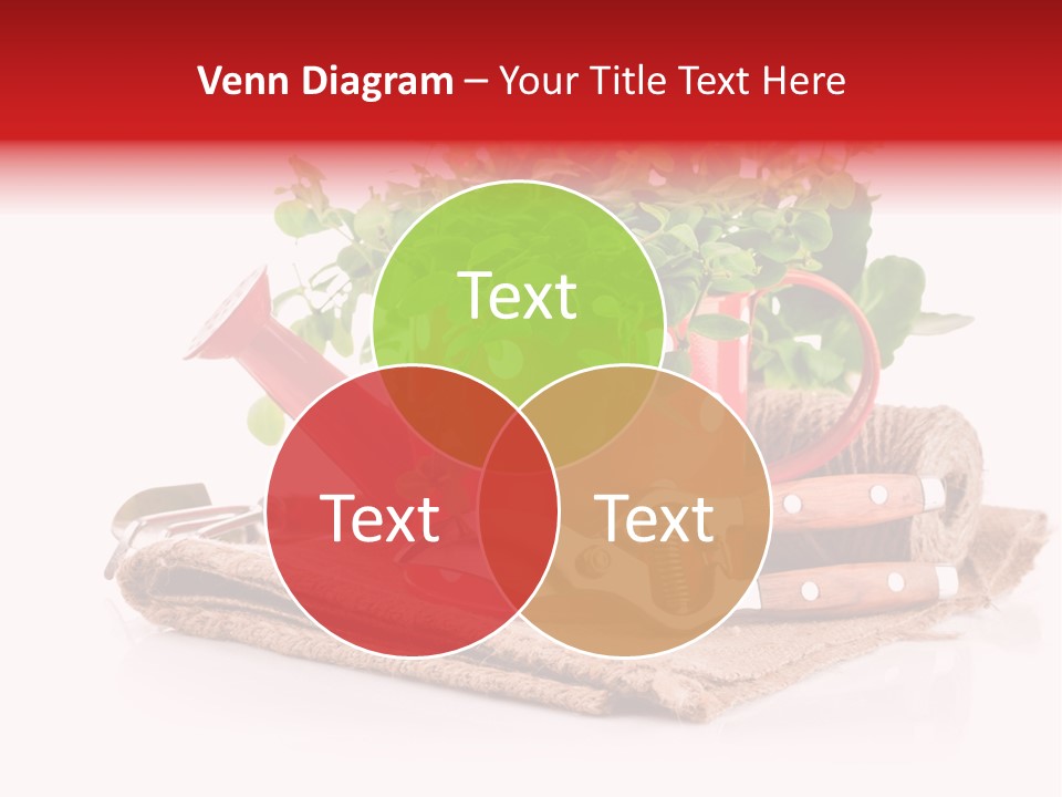 Skein Leaf Spring PowerPoint Template