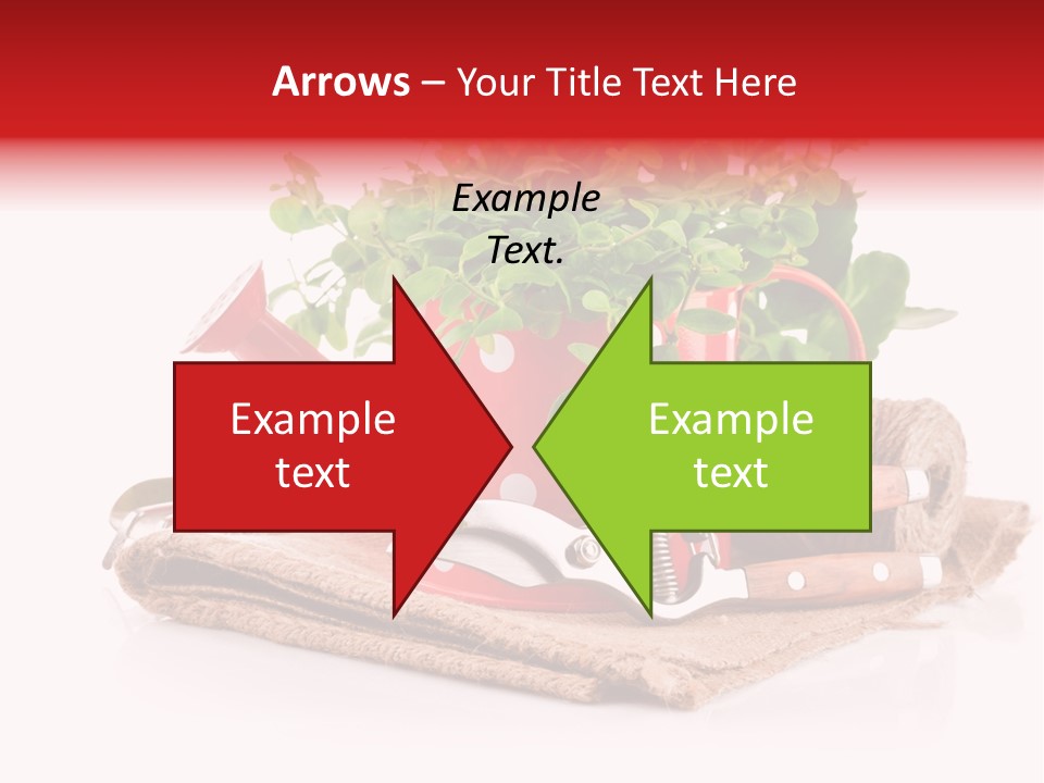 Skein Leaf Spring PowerPoint Template