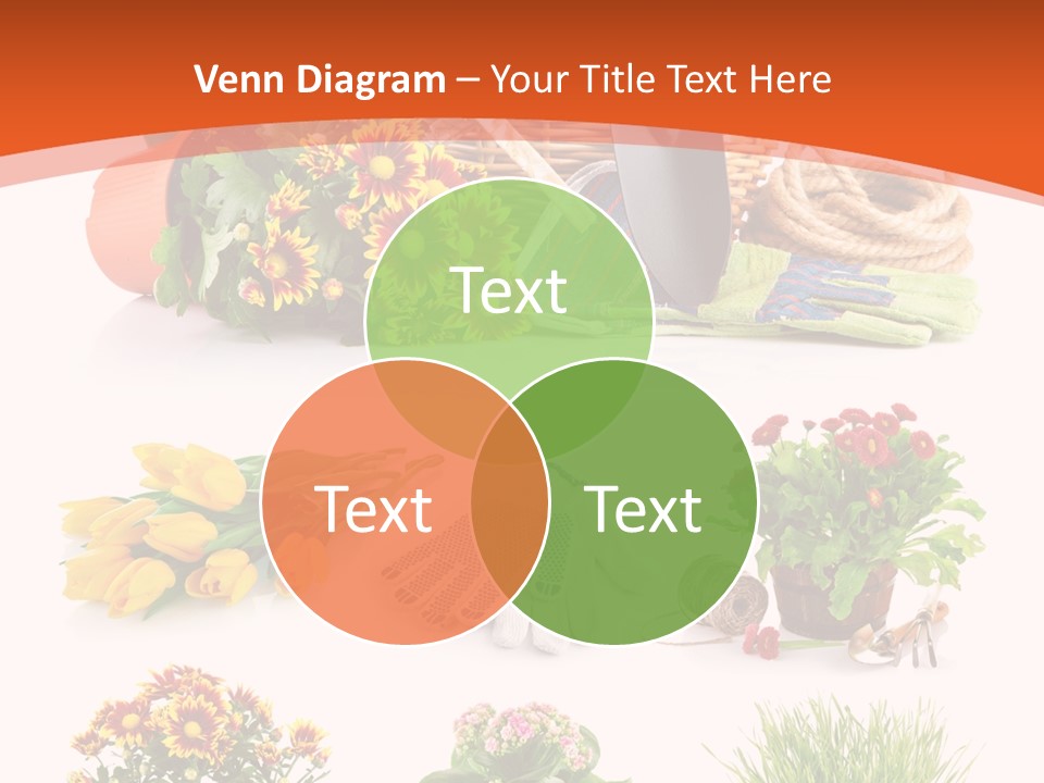 Grass White Leaf PowerPoint Template