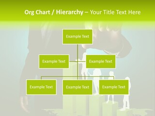 Global Relationship Information PowerPoint Template