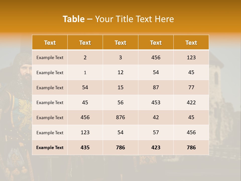 Traditional Protection Castle PowerPoint Template