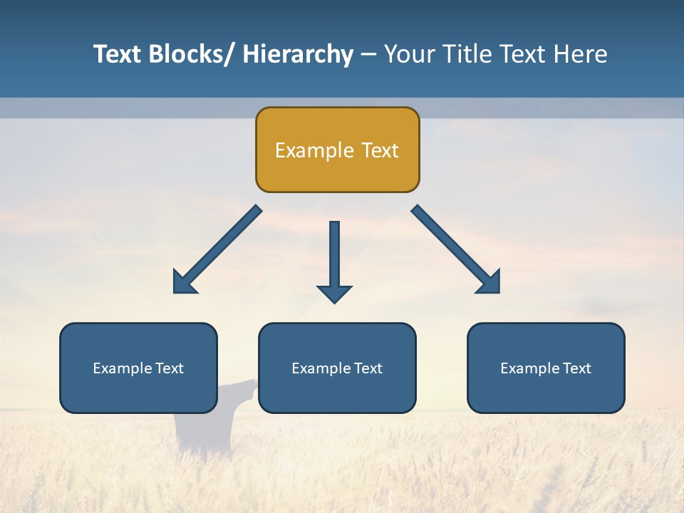 Blue Harvest Lifestyle PowerPoint Template