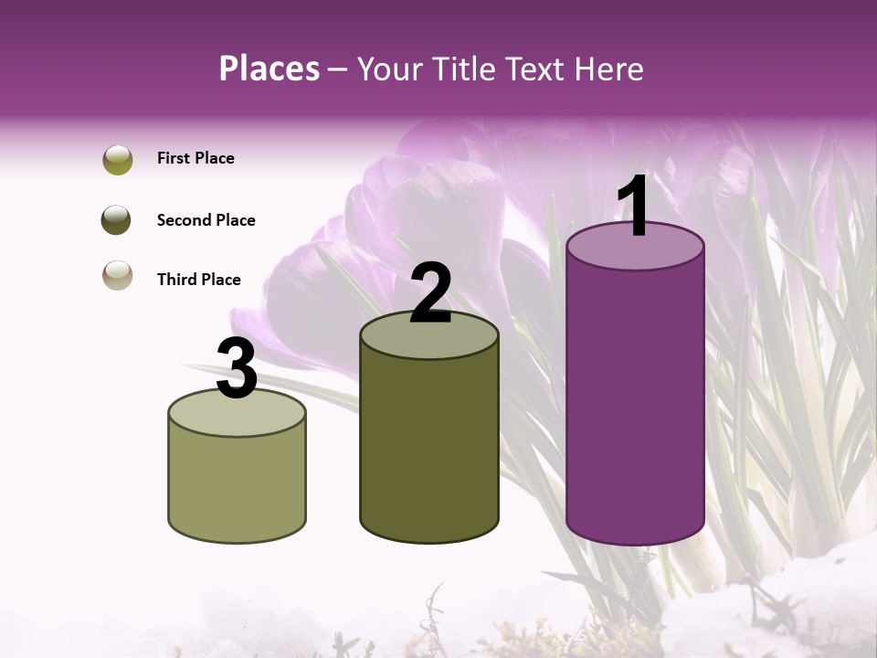Springtime Petal White PowerPoint Template