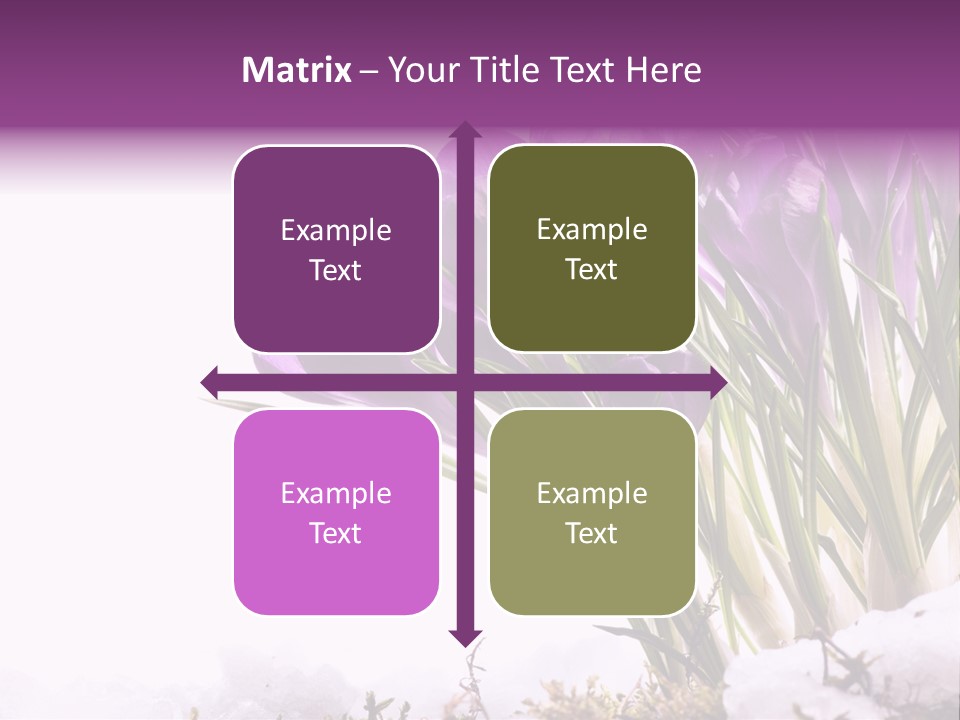 Springtime Petal White PowerPoint Template