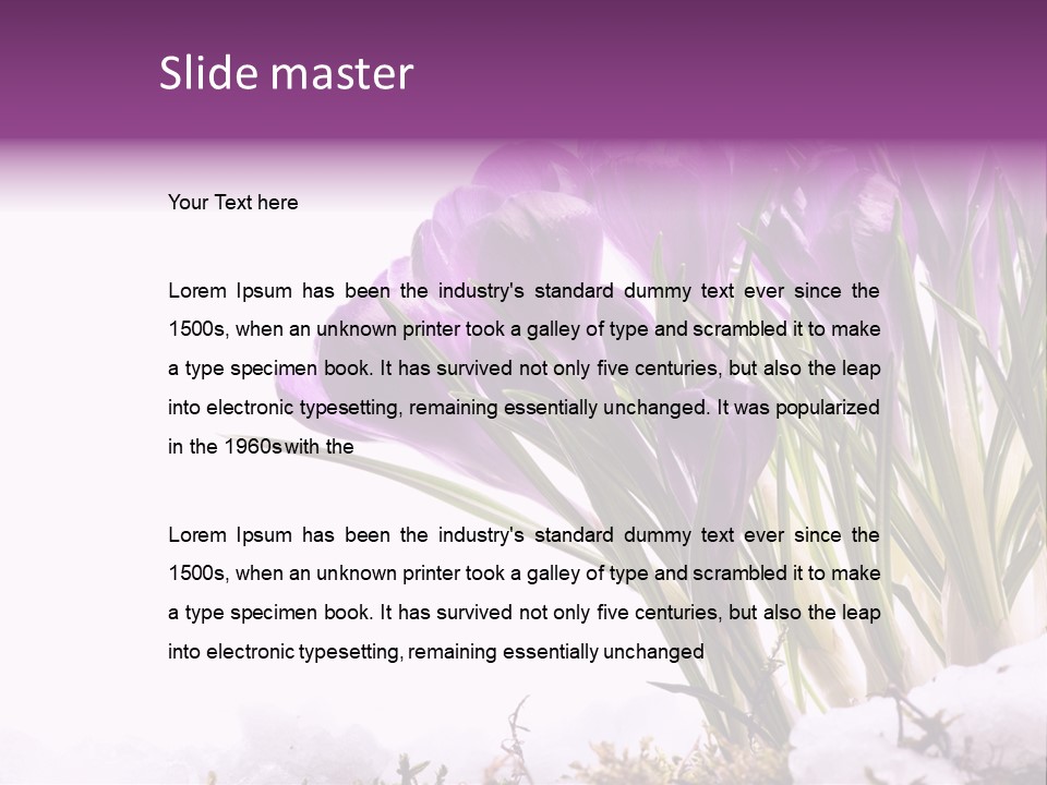 Springtime Petal White PowerPoint Template