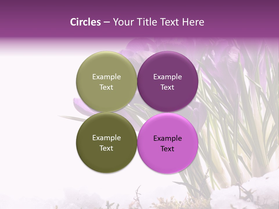 Springtime Petal White PowerPoint Template