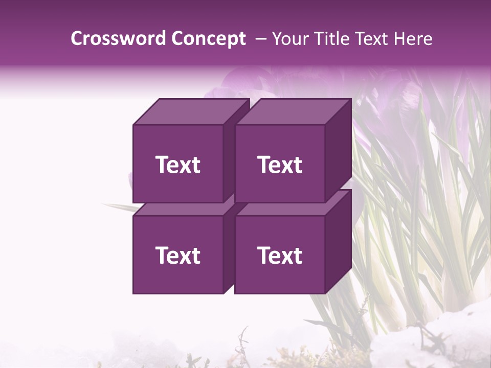 Springtime Petal White PowerPoint Template