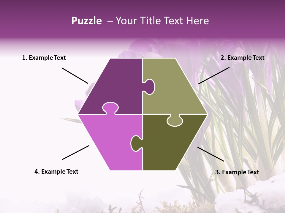 Springtime Petal White PowerPoint Template