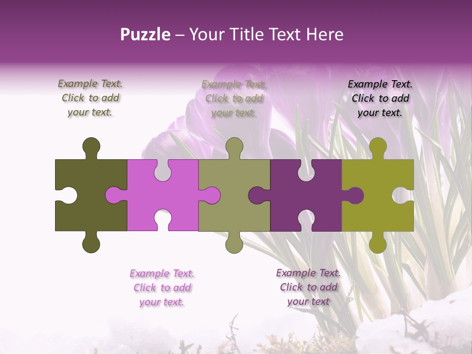 Springtime Petal White PowerPoint Template