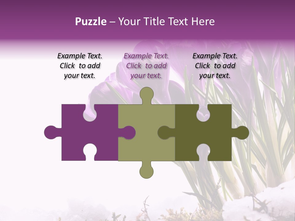 Springtime Petal White PowerPoint Template