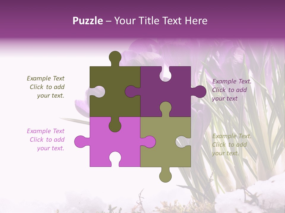 Springtime Petal White PowerPoint Template