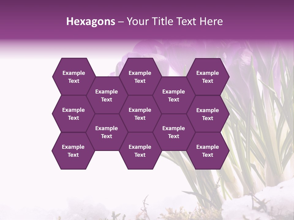 Springtime Petal White PowerPoint Template