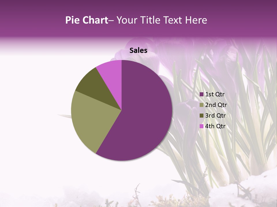 Springtime Petal White PowerPoint Template