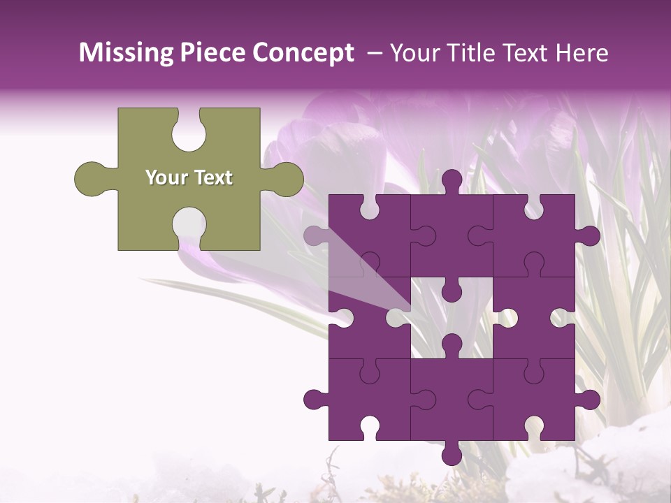 Springtime Petal White PowerPoint Template