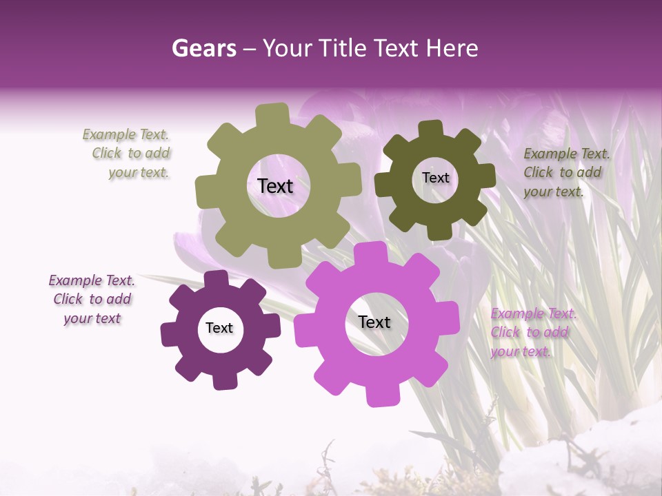 Springtime Petal White PowerPoint Template