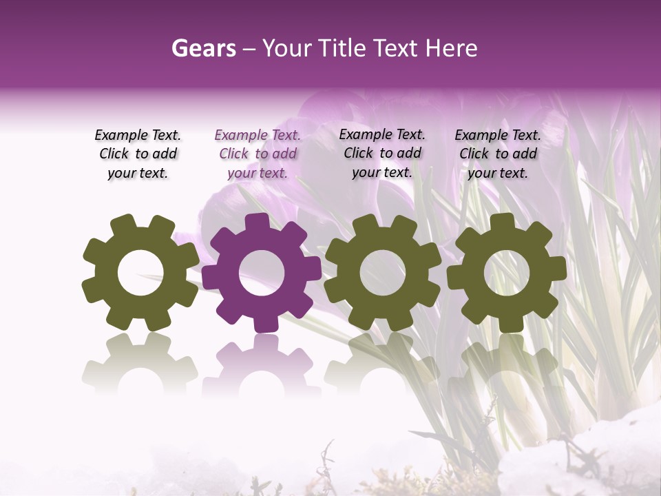 Springtime Petal White PowerPoint Template
