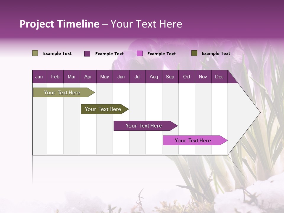 Springtime Petal White PowerPoint Template