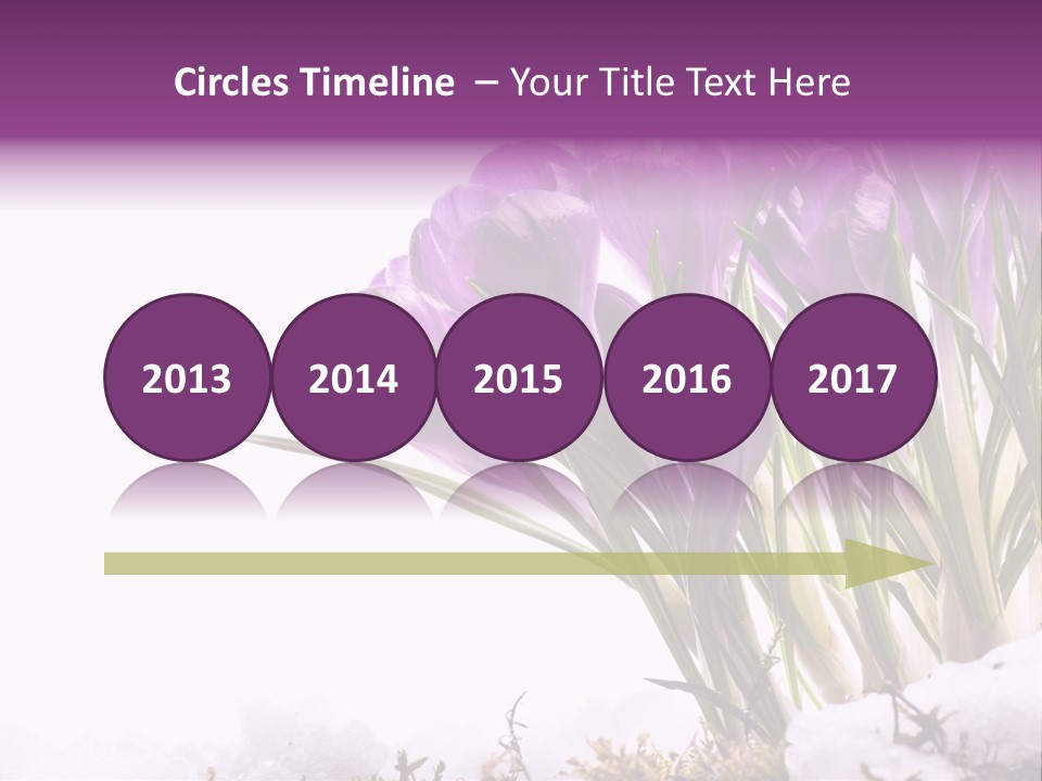 Springtime Petal White PowerPoint Template