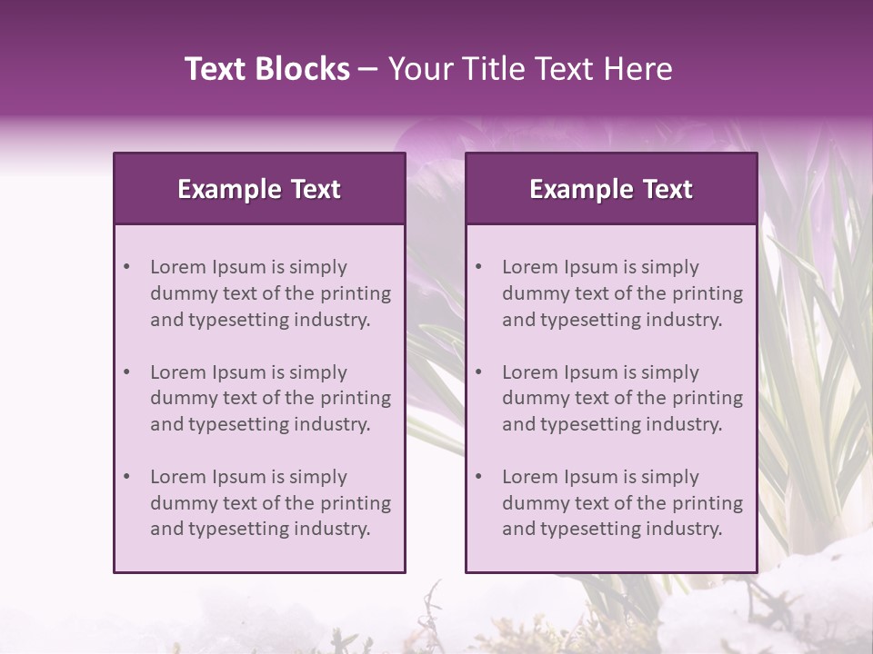 Springtime Petal White PowerPoint Template