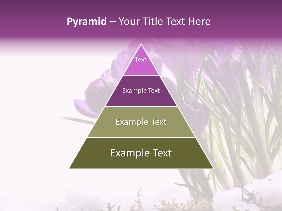 Springtime Petal White PowerPoint Template