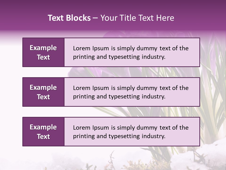 Springtime Petal White PowerPoint Template