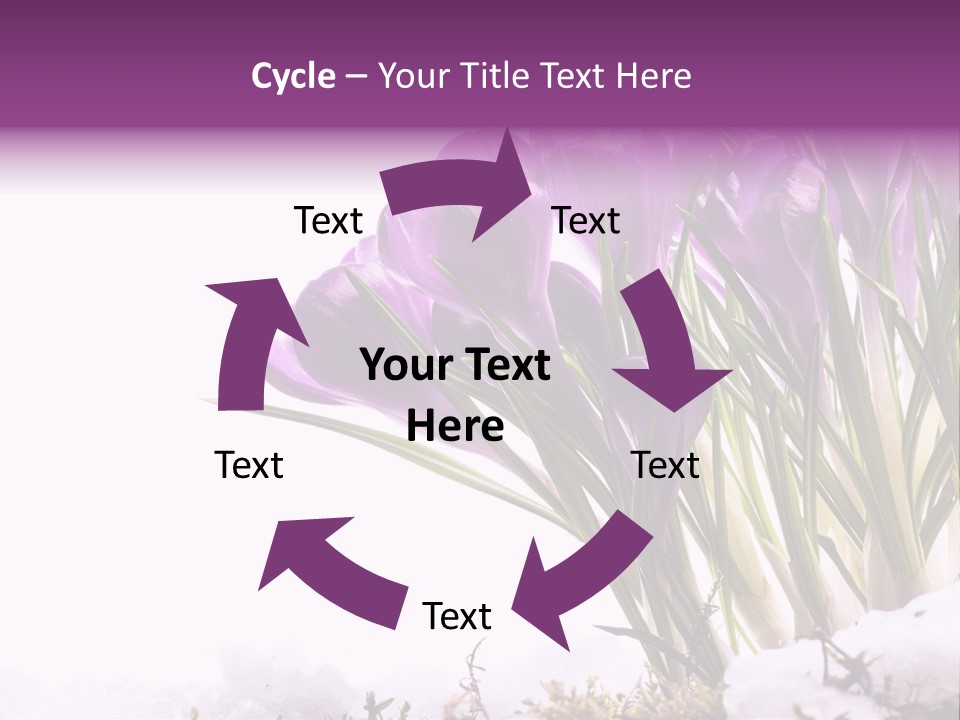 Springtime Petal White PowerPoint Template