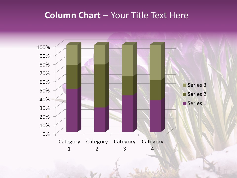 Springtime Petal White PowerPoint Template