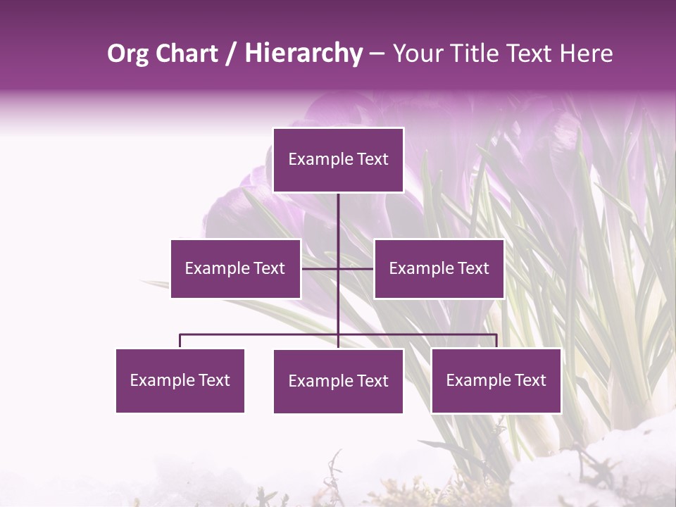 Springtime Petal White PowerPoint Template