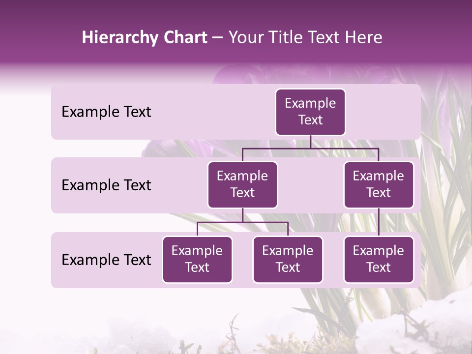 Springtime Petal White PowerPoint Template