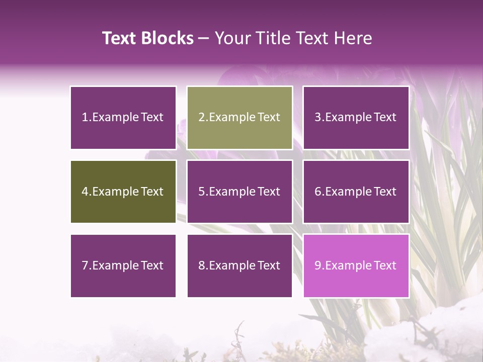 Springtime Petal White PowerPoint Template