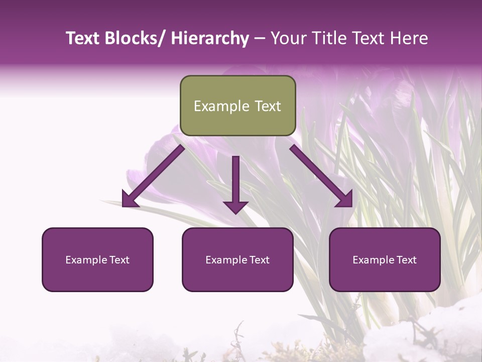 Springtime Petal White PowerPoint Template