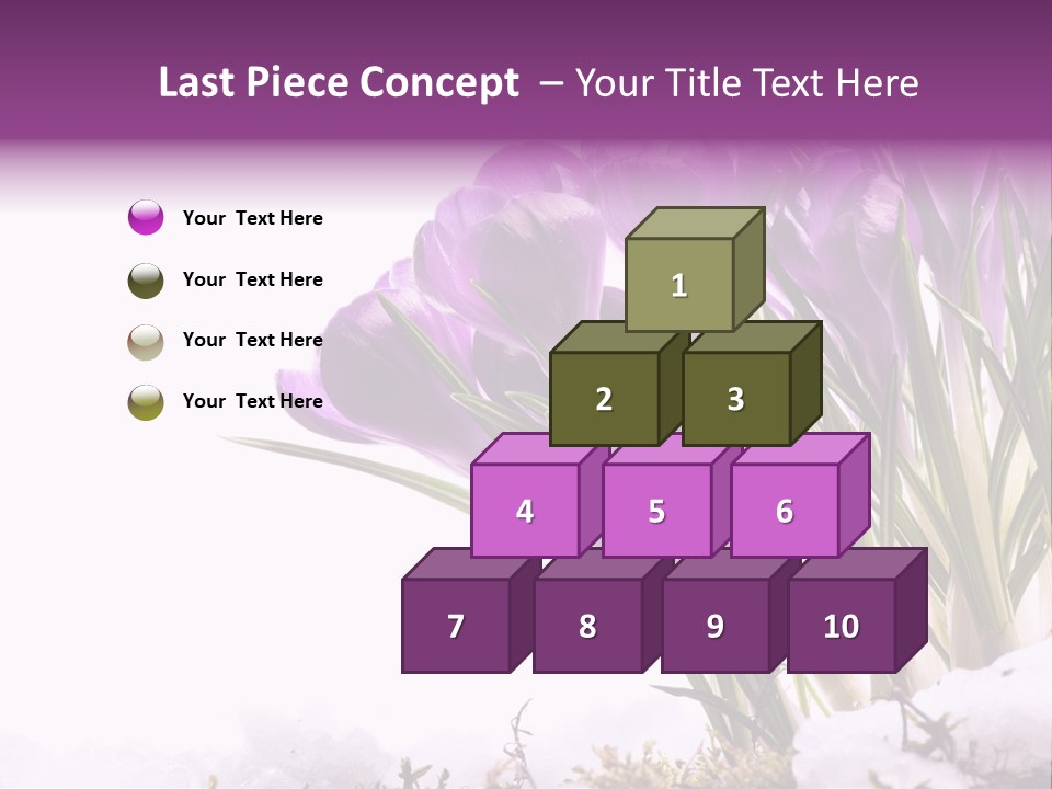 Springtime Petal White PowerPoint Template