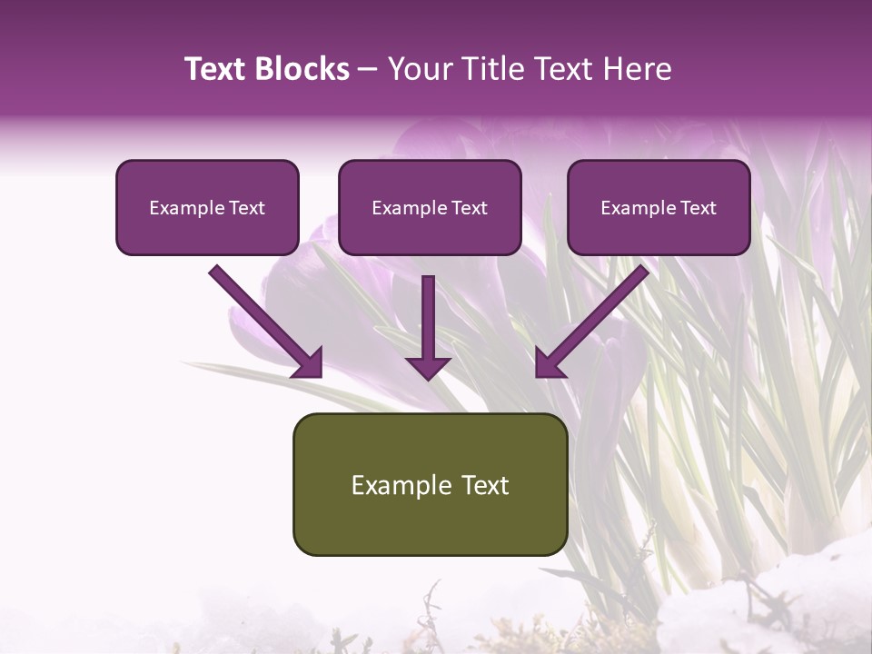 Springtime Petal White PowerPoint Template