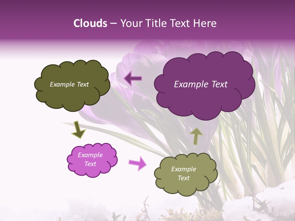 Springtime Petal White PowerPoint Template