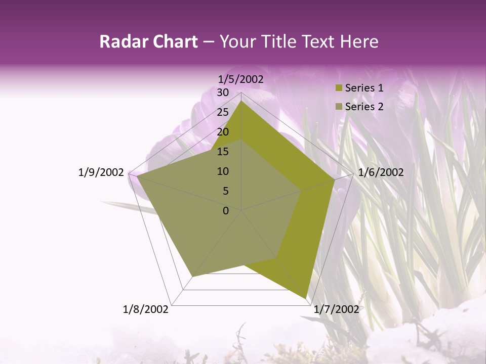 Springtime Petal White PowerPoint Template