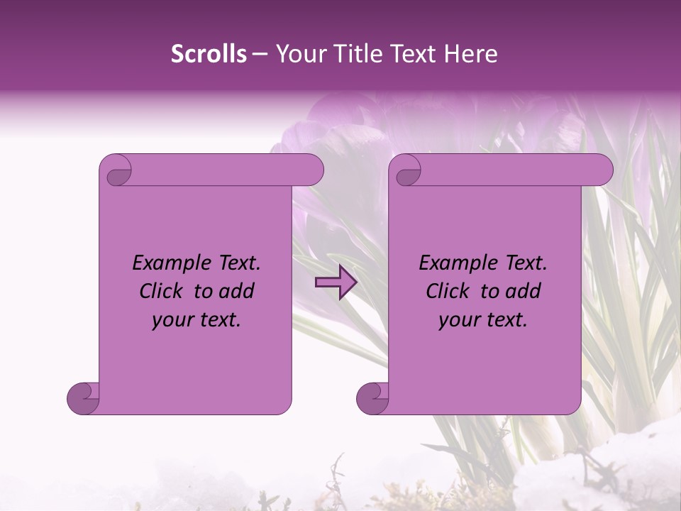 Springtime Petal White PowerPoint Template