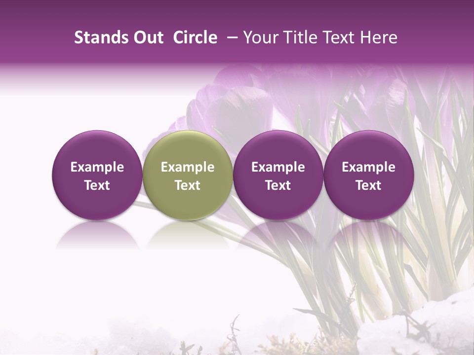 Springtime Petal White PowerPoint Template