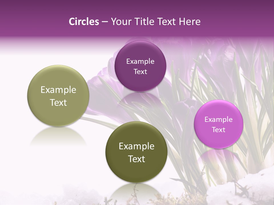 Springtime Petal White PowerPoint Template
