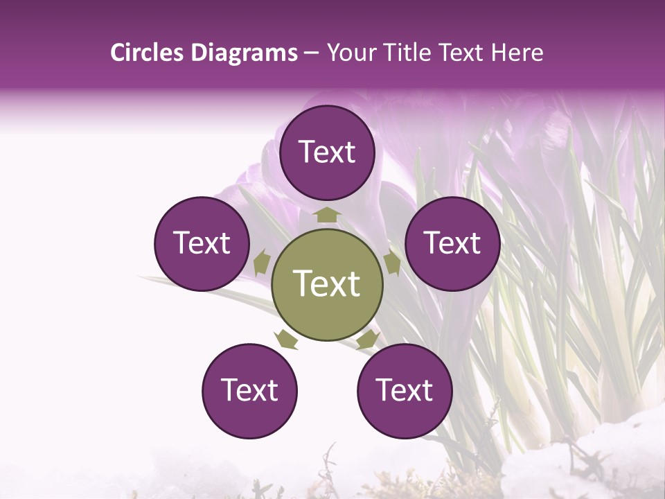 Springtime Petal White PowerPoint Template