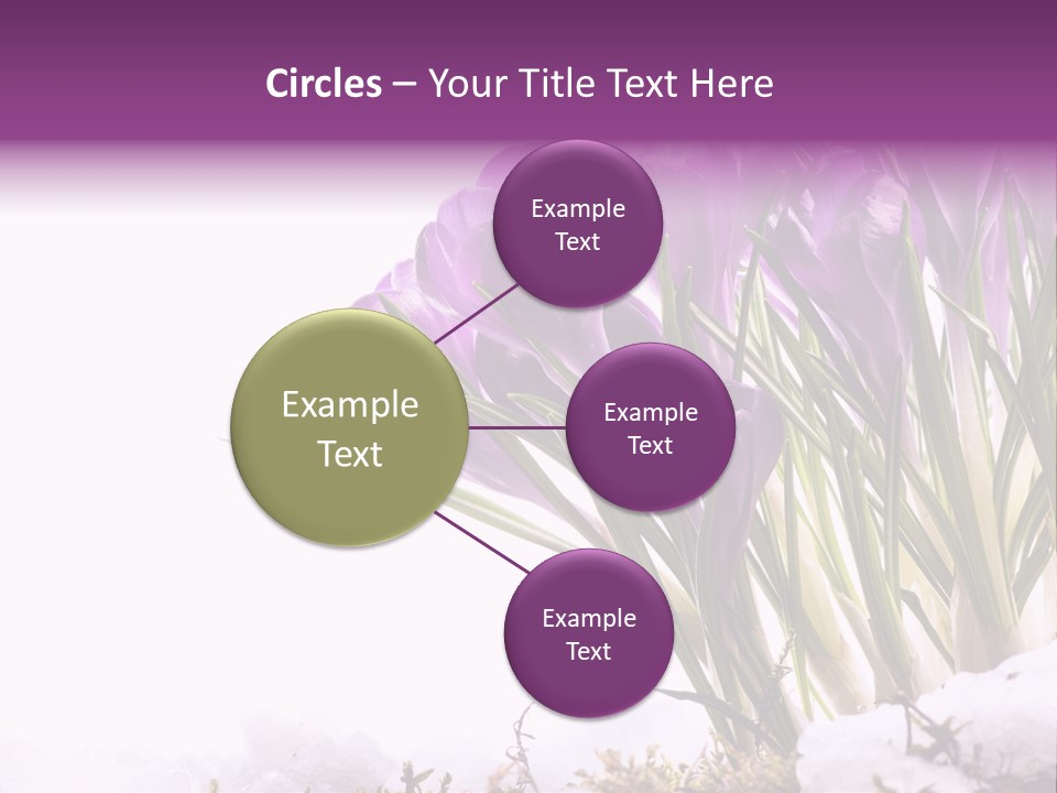 Springtime Petal White PowerPoint Template