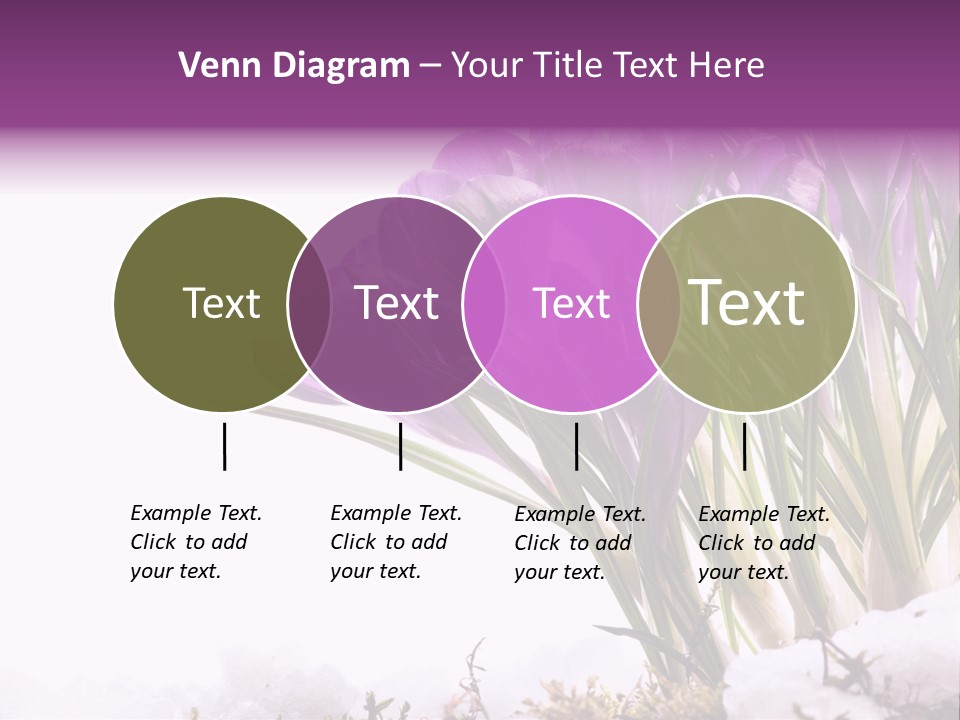 Springtime Petal White PowerPoint Template