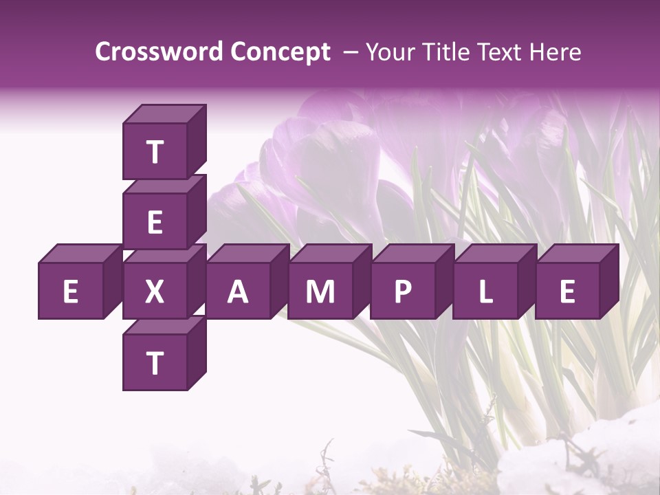 Springtime Petal White PowerPoint Template