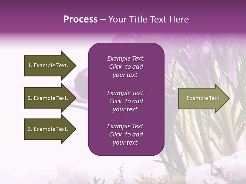 Springtime Petal White PowerPoint Template