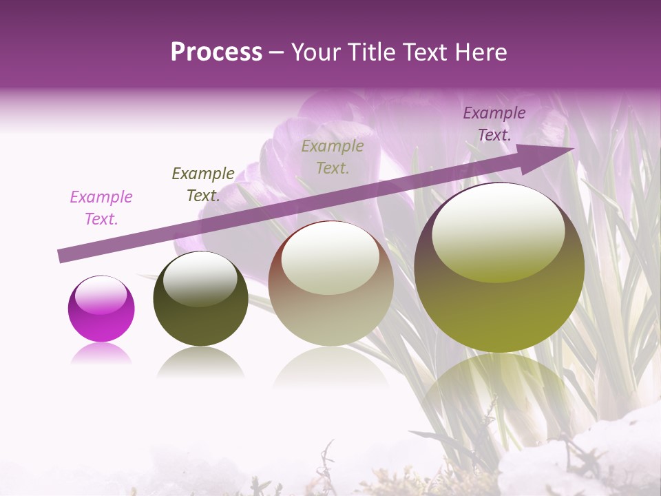 Springtime Petal White PowerPoint Template