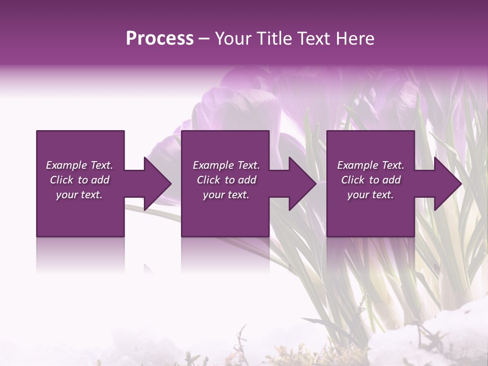 Springtime Petal White PowerPoint Template