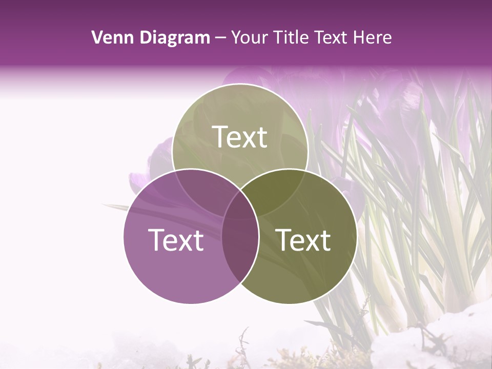 Springtime Petal White PowerPoint Template