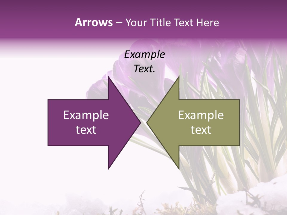 Springtime Petal White PowerPoint Template